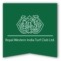 Powercraft Electronics Logo